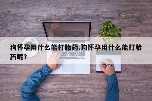 打胎药购买联系狗怀孕用什么能打胎药.狗怀孕用什么能打胎药呢？