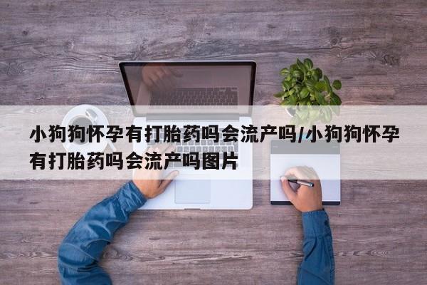 打胎药购买联系小狗狗怀孕有打胎药吗会流产吗/小狗狗怀孕有打胎药吗会流产吗图片