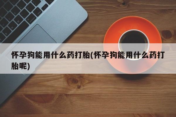 打胎药购买联系怀孕狗能用什么药打胎(怀孕狗能用什么药打胎呢)